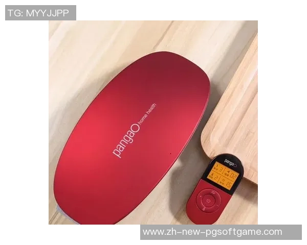 攀高电子血压计pg-800a31-攀高电子血压计PG-800A31，科技与健康生活的完美结合-攀高电子血压计pg-800a31